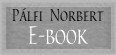 Pálfi Norbert: Az e-book helyzete és kilátásai